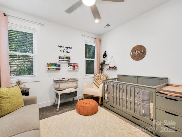 24 Gudger Rd, Asheville, NC 28806 - photo 20