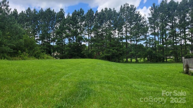 1672 Riverview Rd, Lincolnton, NC 28092 - photo 4