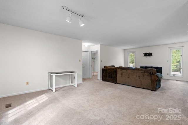 1748 4th Street Ct NE, Hickory, NC 28601 - carpeted living area with baseboards and rail lighting