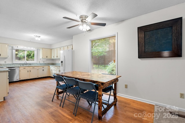1748 4th Street Ct NE, Hickory, NC 28601 - dining space featuring light wood-style flooring, ceiling fan, and a textured ceiling