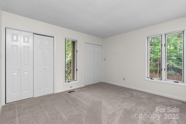 1748 4th Street Ct NE, Hickory, NC 28601 - unfurnished bedroom featuring multiple closets, multiple windows, and carpet flooring