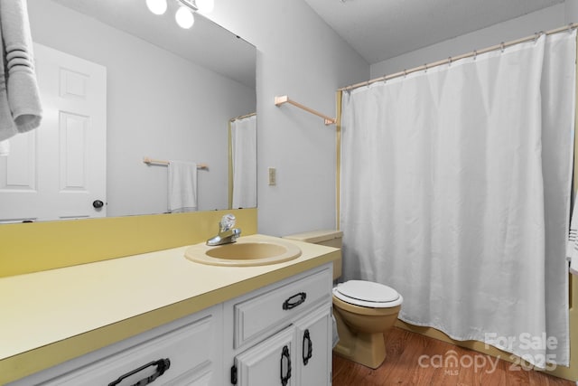 1748 4th Street Ct NE, Hickory, NC 28601 - full bathroom featuring vanity, wood finished floors, and a shower with curtain