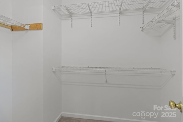 1901 Summit Ridge Ln, Kannapolis, NC 28083 - spacious closet featuring carpet flooring