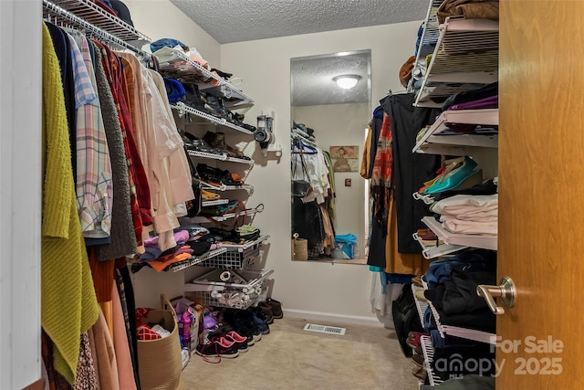 26B Cedarwood Trl, Asheville, NC 28806 - walk in closet featuring carpet