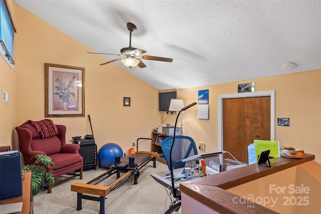 26B Cedarwood Trl, Asheville, NC 28806 - workout area with ceiling fan, lofted ceiling, carpet floors, and a textured ceiling