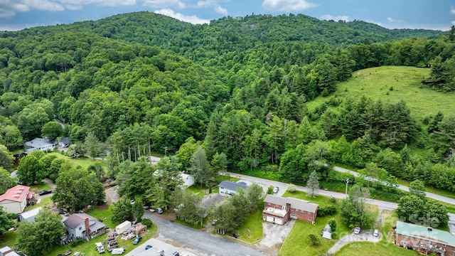 1175 Bamboo Rd, Boone, NC 28607 - aerial overview of property's location featuring a forest