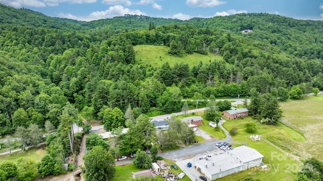 1175 Bamboo Rd, Boone, NC 28607 - aerial view of property's location featuring a forest