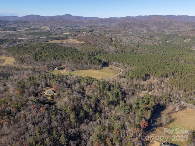 197 First Broad Dr, Bostic, NC 28018 - aerial overview of property's location featuring a forest and mountains