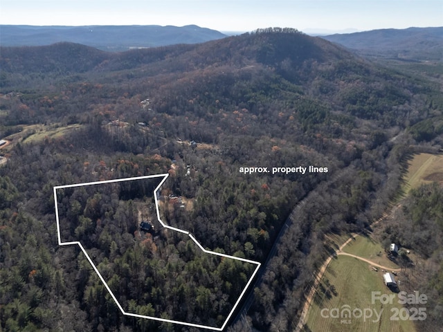 197 First Broad Dr, Bostic, NC 28018 - view of property location featuring property boundaries highlighted