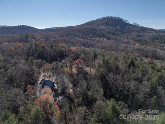197 First Broad Dr, Bostic, NC 28018 - view of mountain backdrop featuring a heavily wooded area