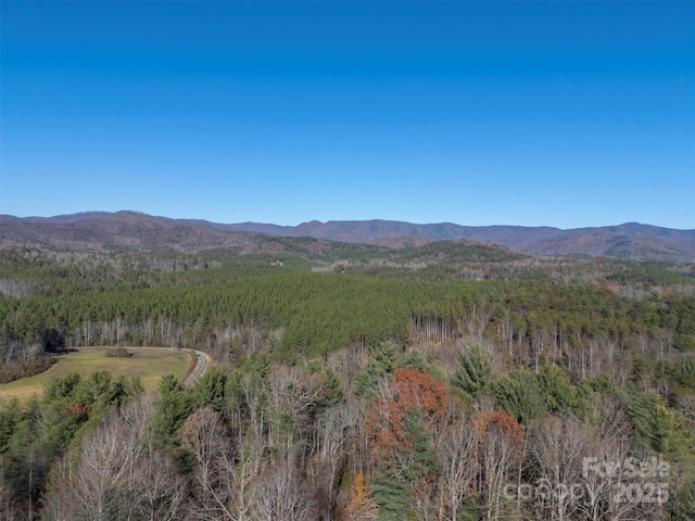 197 First Broad Dr, Bostic, NC 28018 - view of mountain background featuring a forest