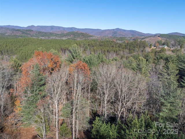 197 First Broad Dr, Bostic, NC 28018 - view of mountain background featuring a forest