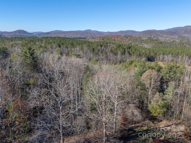 197 First Broad Dr, Bostic, NC 28018 - view of mountain background featuring a heavily wooded area