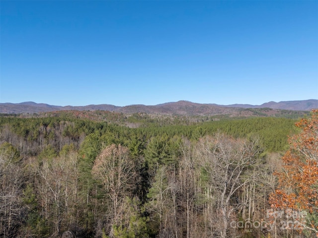 197 First Broad Dr, Bostic, NC 28018 - view of mountain background featuring a forest