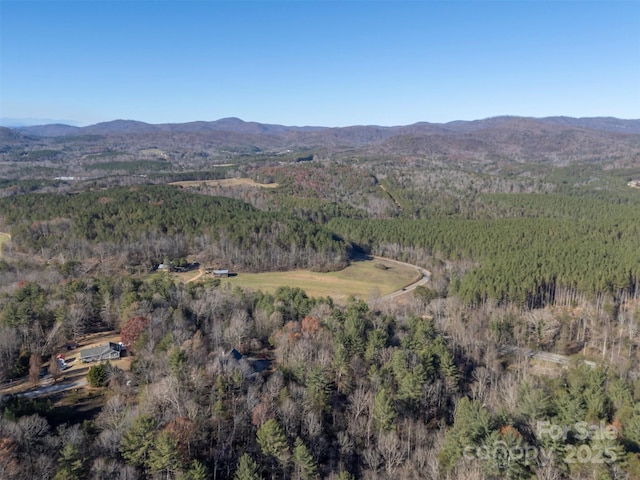 197 First Broad Dr, Bostic, NC 28018 - view of mountain background with a heavily wooded area
