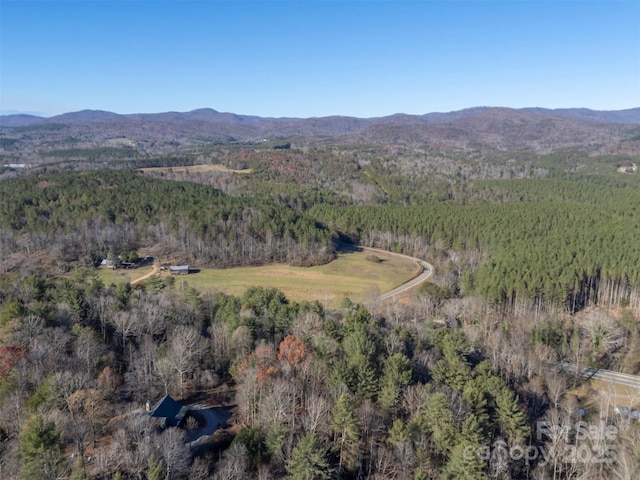 197 First Broad Dr, Bostic, NC 28018 - aerial view of property's location with mountains and a forest