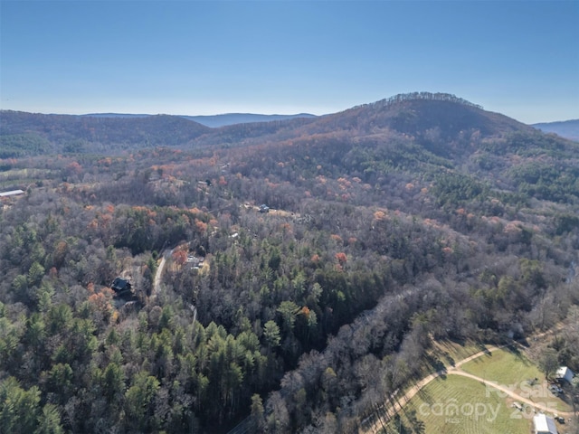 197 First Broad Dr, Bostic, NC 28018 - mountain view featuring a heavily wooded area