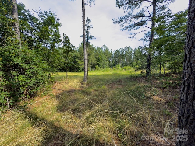 0 Chip Rd, Mount Gilead, NC 27306 - photo 2