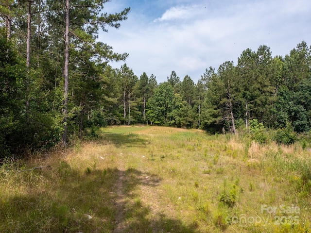 0 Chip Rd, Mount Gilead, NC 27306 - photo 3