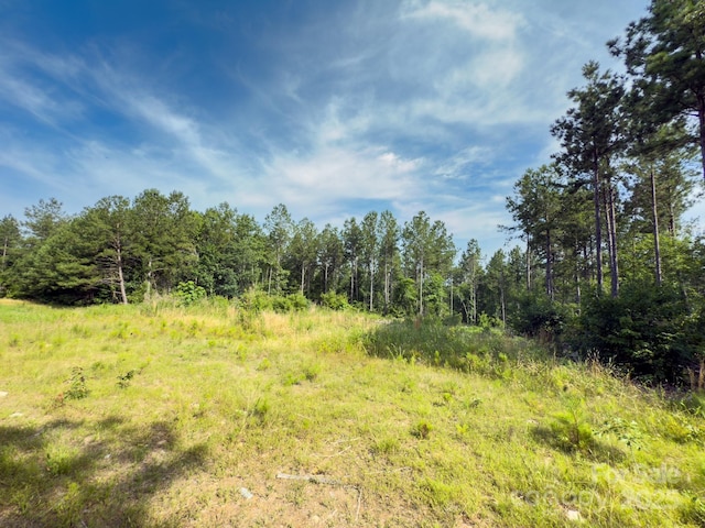 0 Chip Rd, Mount Gilead, NC 27306 - photo 4
