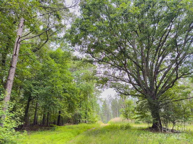 0 Chip Rd, Mount Gilead, NC 27306 - photo 9