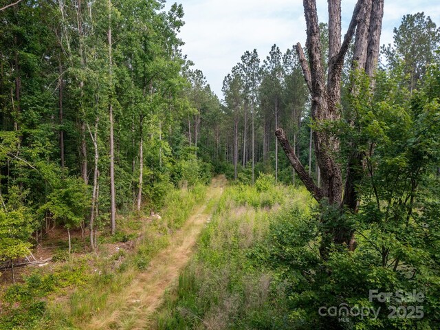 0 Chip Rd, Mount Gilead, NC 27306 - photo 10