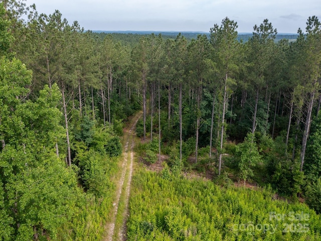 0 Chip Rd, Mount Gilead, NC 27306 - photo 11