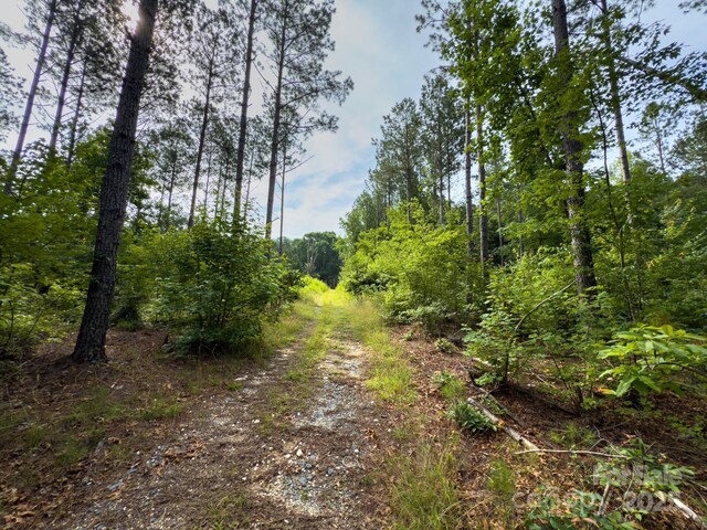 0 Chip Rd, Mount Gilead, NC 27306 - photo 14