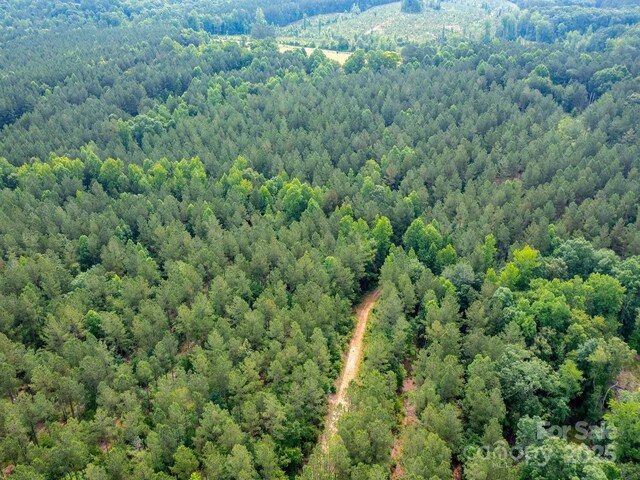 0 Chip Rd, Mount Gilead, NC 27306 - photo 15