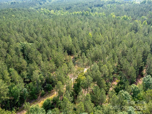 0 Chip Rd, Mount Gilead, NC 27306 - photo 16