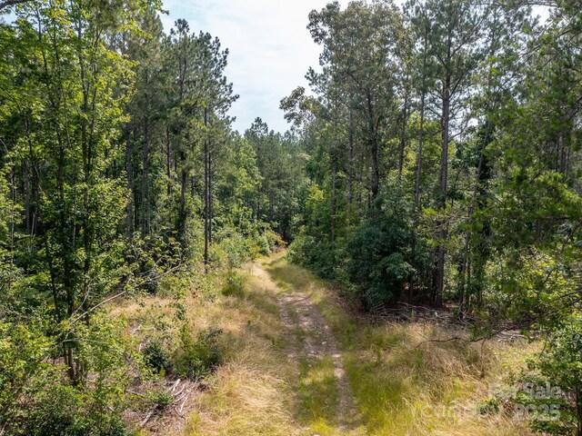 0 Chip Rd, Mount Gilead, NC 27306 - photo 17