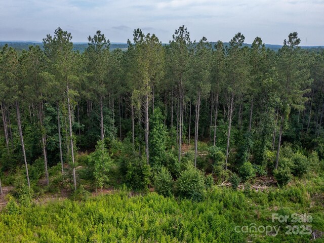 0 Chip Rd, Mount Gilead, NC 27306 - photo 20