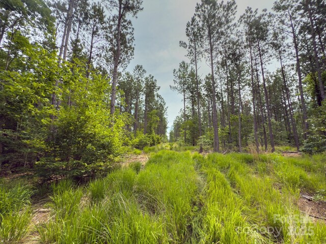 0 Chip Rd, Mount Gilead, NC 27306 - photo 21