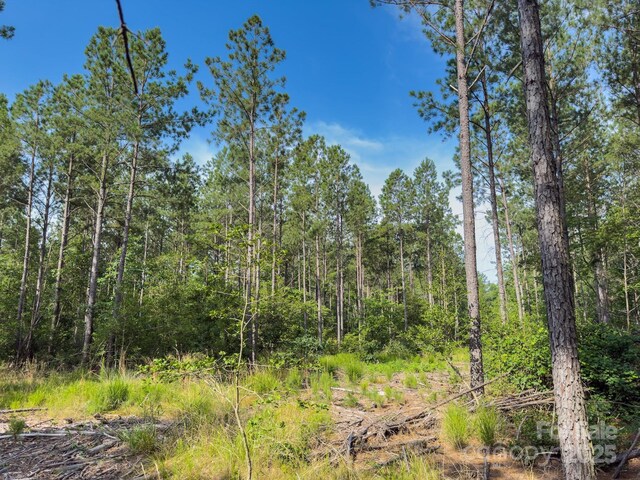 0 Chip Rd, Mount Gilead, NC 27306 - photo 24