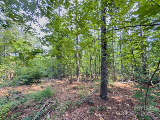 0 Chip Rd, Mount Gilead, NC 27306 - photo 25