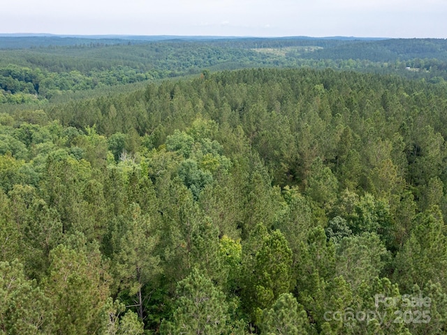 0 Chip Rd, Mount Gilead, NC 27306 - photo 27