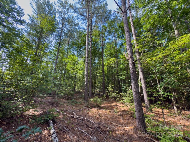 0 Chip Rd, Mount Gilead, NC 27306 - photo 31