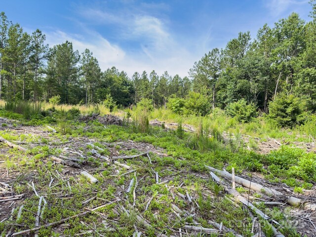 0 Chip Rd, Mount Gilead, NC 27306 - photo 32