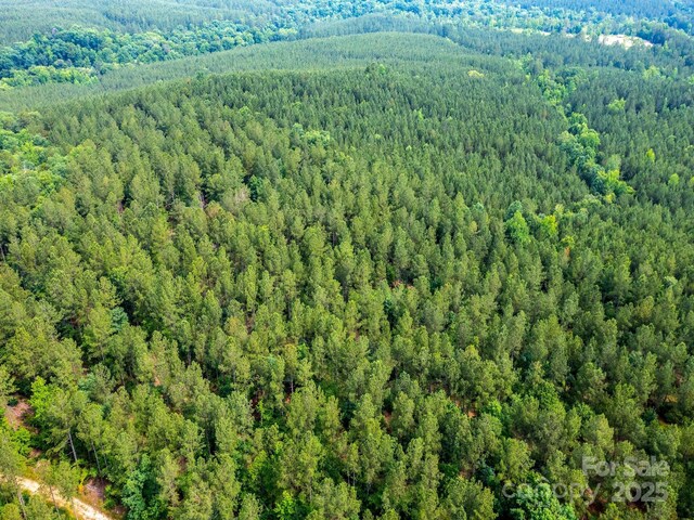 0 Chip Rd, Mount Gilead, NC 27306 - photo 34