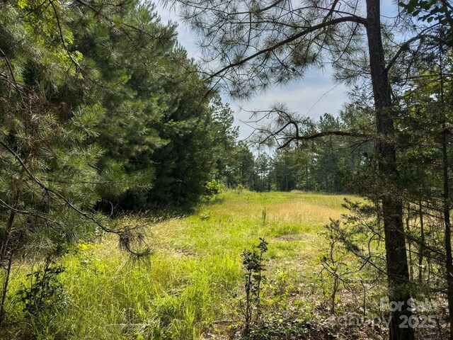 0 Chip Rd, Mount Gilead, NC 27306 - photo 35