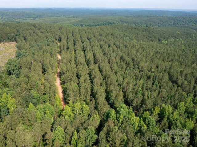 0 Chip Rd, Mount Gilead, NC 27306 - photo 37