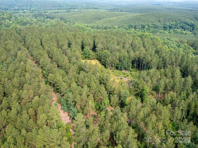 0 Chip Rd, Mount Gilead, NC 27306 - photo 41