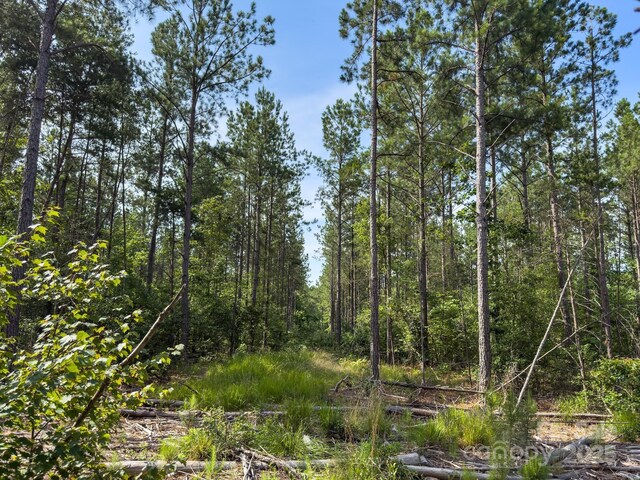 0 Chip Rd, Mount Gilead, NC 27306 - photo 42
