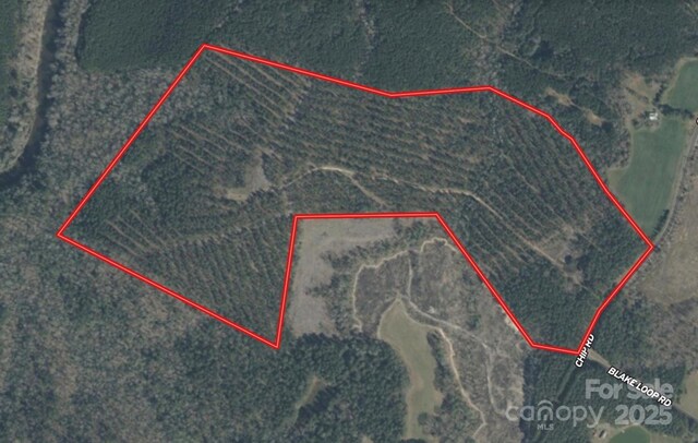 0 Chip Rd, Mount Gilead, NC 27306 - photo 43