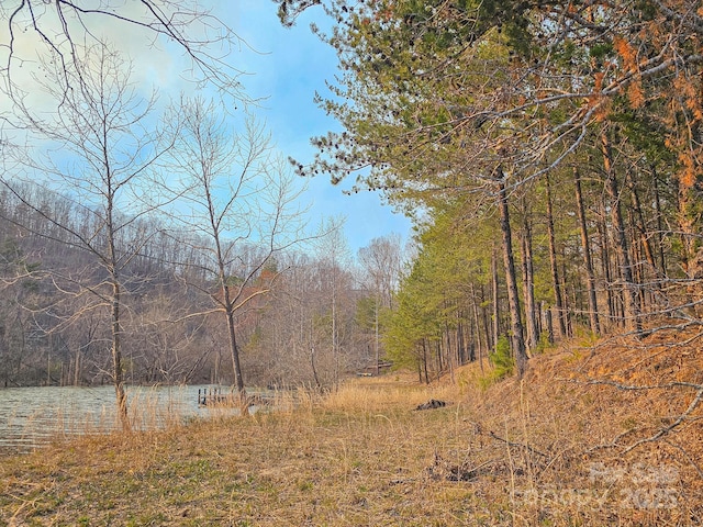 TBD Parkway Rd N Unit 3, Mill Spring, NC 28756