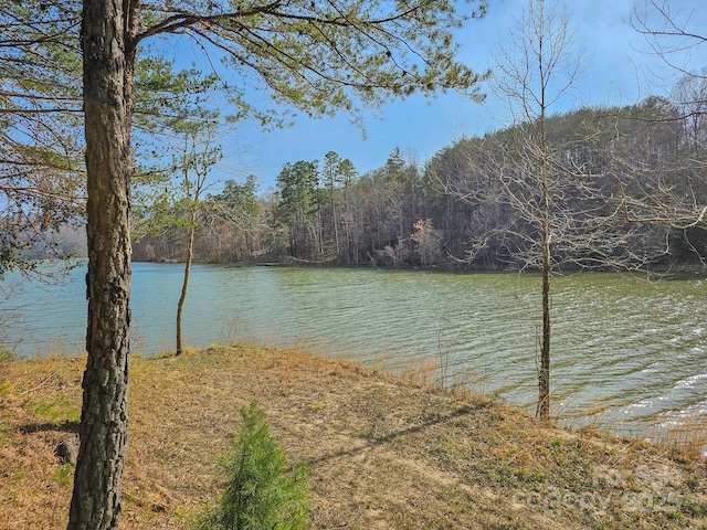 TBD Parkway Rd N Unit 3, Mill Spring, NC 28756