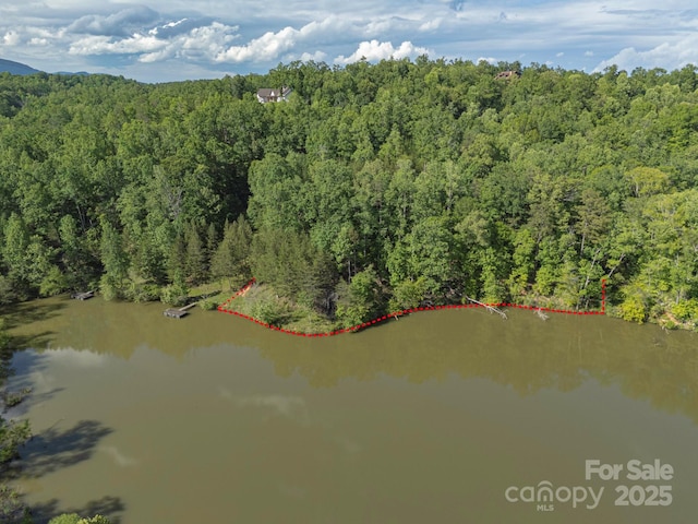 TBD Parkway Rd N Unit 3, Mill Spring, NC 28756