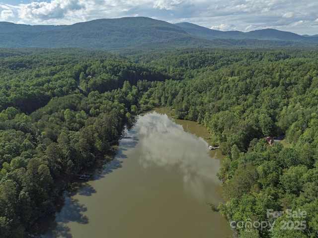 TBD Parkway Rd N Unit 3, Mill Spring, NC 28756