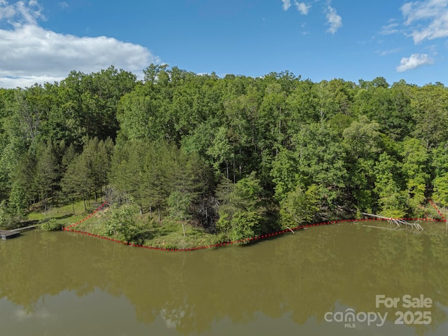 TBD Parkway Rd N Unit 3, Mill Spring, NC 28756