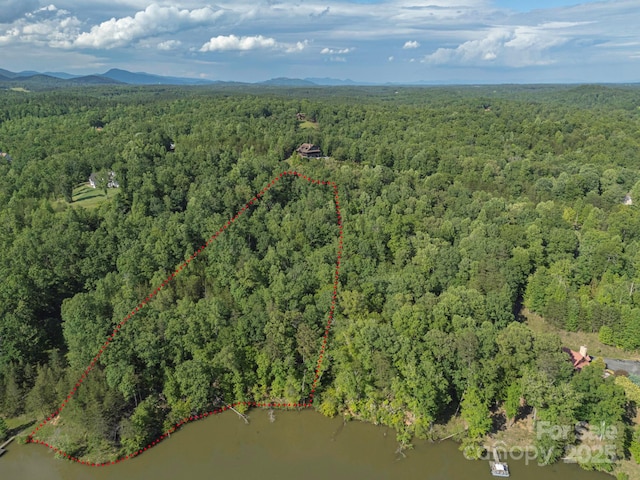 TBD Parkway Rd N Unit 3, Mill Spring, NC 28756